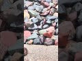 Rocks in the parking lot