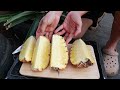 Amazing Idea | I didn't expect it to be so easy to grow pineapple on the terrace