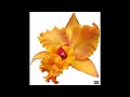 Trippie Redd x Lucki x Partynextdoor Type Beat  - Blooming [prod. ghostlefty]
