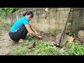 make flower beds and drain into fish pond