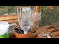 Garden Hack: Drip irrigation with a water bottle