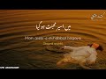 Main Aseer - e - MUHABBAT Hogaya | Slowed , Reverbed | Adnan Dhool | Soch The Band | Zid OST |  Urdu