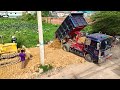 New Project! Good Working Dump Truck Unloading Soil FillingLand Bulldozer Komatsu Dozer D31P Pushing