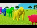 Paint and animals gorilla, Elephant, Duck Cartoon, Lion, Cow Fountain Crossing Wild Animals Game