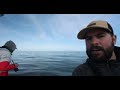 POV Wildlife Photography | Humpback whale feeding from drone