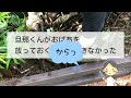 義実家、お庭改造＃６【草取りとアジサイ撤去】同居の理由