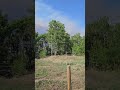 Wildfire Update: We need rain!