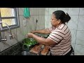 ROTINA MATINAL DE DONA DE CASA COMO CONSERVAR CHEIRO VERDE LIMPEZA E ORGANIZAÇÃO DO LAR vlog