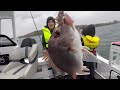 Fishing In The Rain - Newcastle Snapper