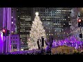 Rockefeller Center Christmas Tree Lighting 2023 ✨ NYC Christmas 2023 ✨