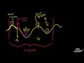 Jugular Venous Pulse (JVP) Explained Clearly - Evaluation, Waveforms, Interpretation