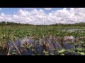 Everglades Boat Ride