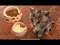 CUTE LITTLE KITTEN ADVENTURE LONG SPECIAL - FUN CARTOON STORY FOR KIDS - LEARN TO COUNT OR COLOR