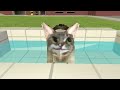 Life or Bath for Dry Cat [ULTRAKILL]