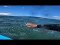 POV Surfing A Windy Reef Break