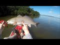 A few days a few Reds Fort Myers Beach and Sanibel Florida