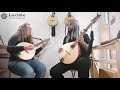 Irish Bouzouki, mandola, octave mandolin? Which is which?