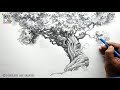 Learn How to Sketch and Shade A Detailed Tree  with Pencil | Easy Pencil Art