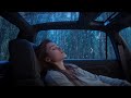 Car camping | Say goodbye to fatigue to sleep better with the sound of heavy rain on the Van car