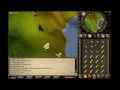 How To Get An Abyssal Whip On 2007 Runescape!
