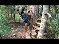 THE BIRTH OF My HUGE TREE HOUSE in The WILD Forest - Building from START to FINISH in 6 months