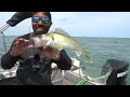 How to Troll for Walleye on Lake Erie