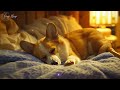 1 Hours Music Relax 🎵 Calming Piano Music For Dog ♬ Instantly Soothe Your Anxious Dog