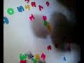 video-2011-03-12-13-26-49