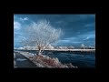Infrared Photography processing