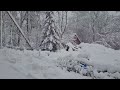 Tree SNAPPED on my walk, HEAVY SNOWFALL Christmas feeling