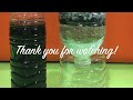 DIY WATER FILTER | WATER FILTER EXPERIMENT | HOW TO FILTER DIRTY WATER | Science Project