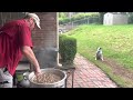 How to Make The Best Tasting Boiled Peanuts You Have Ever Had!