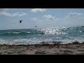 Haulover Clothing Optional Beach, Miami Fl.