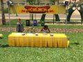 Sims 3 hot dog eating contest