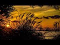 Calm and Soft Music for Deep Sleep - Night over the Lake