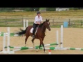 2013 Dressage and Jumper Show