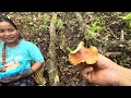 Lekali Local Mushroom 🍄‍🟫 ..Mero baba king of jungle😁#siruthapamagar#villagelife#fatherdaughter#vlog