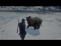 RDR2 Stand my ground at a Grizzly bear