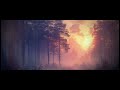Dreamy Forest | Relaxing Music for Sleep, Recover and Regeneration