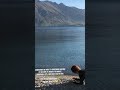 #Planking at Lake #Wakatipu, #Queenstown, New Zealand #travel #passport #selflovepractices