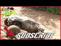Traxxas X MAXX 8S Busted Mud Jumps - And how NOT to wash your RC Cars