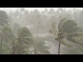 Sleep Hypnosis for Deep Sleep with Hurricane & Heavy Rain in The City | Nature Sounds