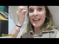 MILLIE BOBBY BROWN HA VUELTO A OMEGLE | Marru