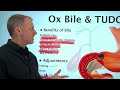 How to Use Ox Bile and TUDCA the Right Way