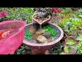 Cement Craft idea - AMAZING GARDEN DECORATIONS - Dreamy Small Garden Ideas