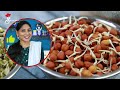 ധാന്യങ്ങൾ മുളപ്പിക്കാം വളരെ എളുപ്പത്തിൽ💯👌| How to Make Sprouts Easy Methods| Payar Mulappichathu