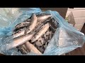 BILLINGSGATE FISH MARKET /LARGEST FISH MARKET IN LONDON 🇬🇧