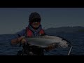 We Troll for Salmon in Shallow Water Among Rocks | Fishing with Rod #salmonfishing #fishing #salmon