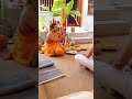 sathynarayana pooja @padu anjar small clip #trending #youtube #viral