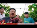SAPA TV - Video review Trường Đại học Nông - Lâm Bắc Giang